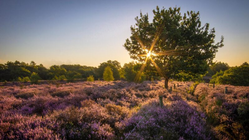 Huis kopen in Barneveld, Voorthuizen, Putten, Nijkerk, Harderwijk en Ermelo