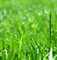 Afbeelding van Uddel – Lageveldseweg ong.