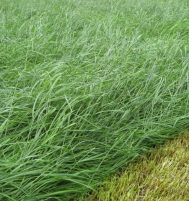 Afbeelding van Putten – Arlersteeg Ong.