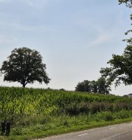 Afbeelding van Putten – Oude Nijkerkerweg ong.