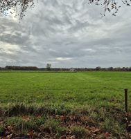 Afbeelding van Nijkerk – Nieuwe Voorthuizerweg ong.
