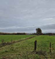 Afbeelding van Nijkerk – Nieuwe Voorthuizerweg ong.