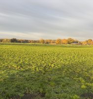 Afbeelding van Ermelo – Buurtweg ong.