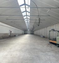 Afbeelding van Wekerom – Koperensteeg ong – Foto