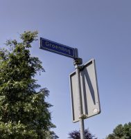 Afbeelding van Ermelo – Groenling 31 – Foto 6