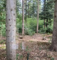 Afbeelding van Putten – Nieuwe Prinsenweg 7-18 – Foto