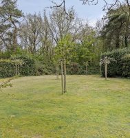 Afbeelding van Putten – Krachtighuizerweg ong – Foto 2