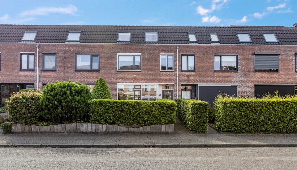 Afbeelding van Barneveld – Wildzoom 107 – Hoofdfoto