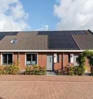 Afbeelding van Nijkerk – Lijsterbes 11 – Foto 3