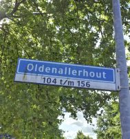 Afbeelding van Harderwijk – Oldenallerhout 142 – Foto 3