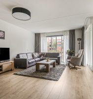 Afbeelding van Barneveld – Sterappel 2 – Foto