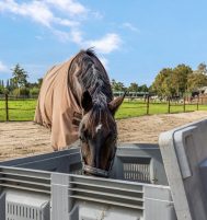 Afbeelding van Putten – Nijkerkerstraat 45 – Foto 2