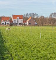 Afbeelding van Lunteren – Zeggelaarspad 2C – Foto 5