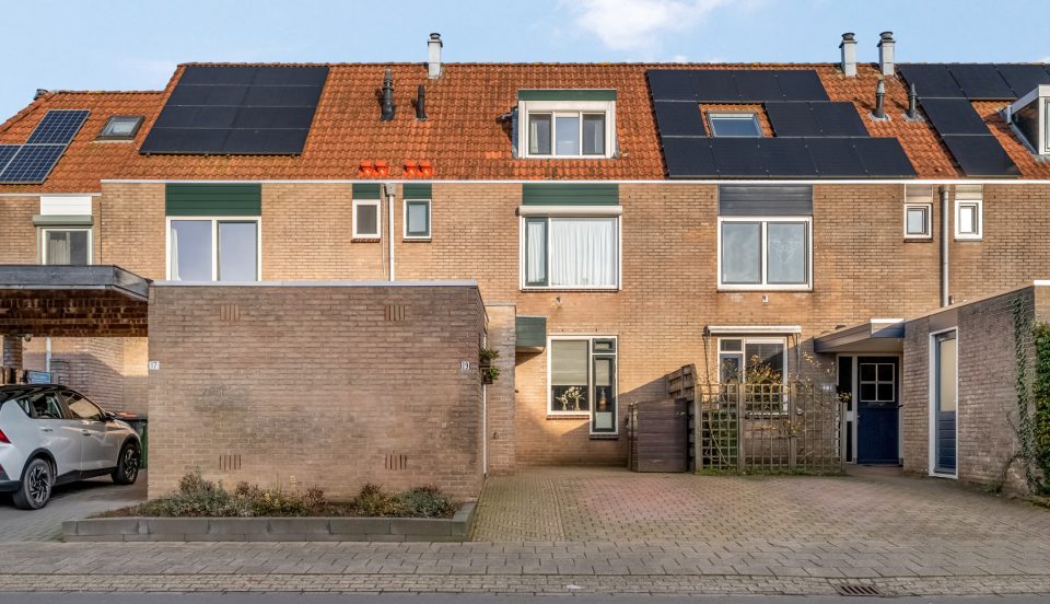 Afbeelding van Barneveld – Wildzoom 19 – Hoofdfoto