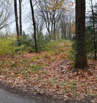 Afbeelding van Ermelo – Oranjepark ong – Foto