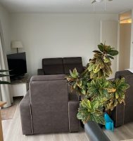 Afbeelding van Voorthuizen – Hallehuis 31 – Foto 2